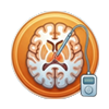Functional Neurosurgery Spasticity and Pain Surgery